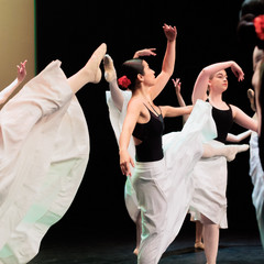 Showcase2025-Levi Baruch-0293.jpg